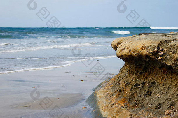 <strong>岩</strong>石形成贝壳海洋生活海滩水波