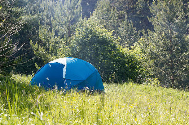 阳光明媚的夏日，绿色的帐篷在绿色的森林里