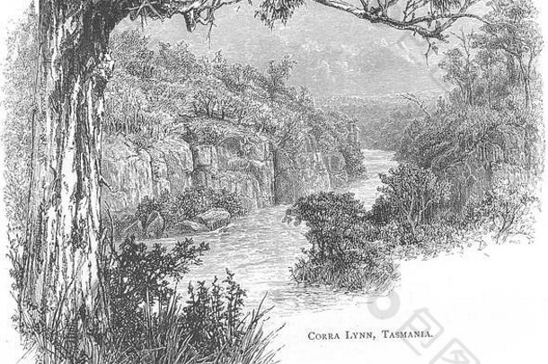 塔斯马尼亚。塔斯马尼亚。科拉·金斯林恩，塔斯马尼亚1886年古董印刷画