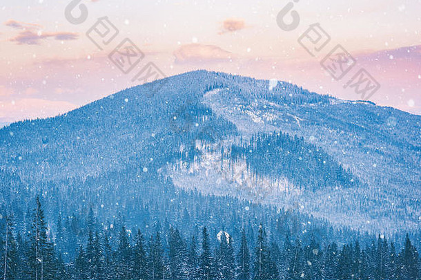 美丽的冬天山日落光雪高山景观喀尔巴阡山