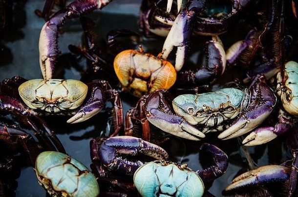 蓝色的螃蟹出售市场里约1月巴西