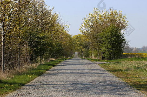 德国梅克伦堡-沃波默恩格雷夫斯瓦尔德和斯特拉尔松之间的旧铺面道路。