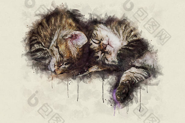 水彩插图，一群小斑猫睡在一起。