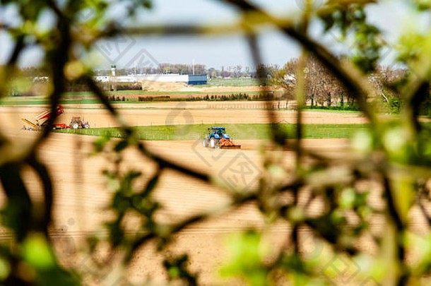 拖拉机工作农田植物土豆分支机构树阳光明媚的一天农田奥恩塞尔南林堡省内瑟兰