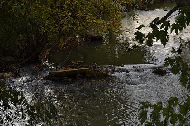 在田纳西州斯威特沃特市<strong>鸭子</strong>公园的斯威特沃特溪，水流过一个小瀑布。