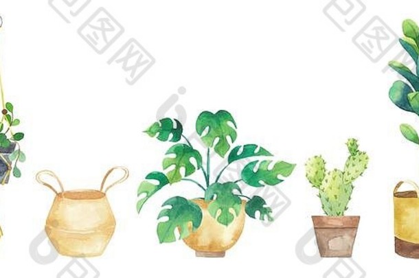 把室内植物放在用水彩画的盆里。白色背景上分离的新鲜元素。盆栽套装