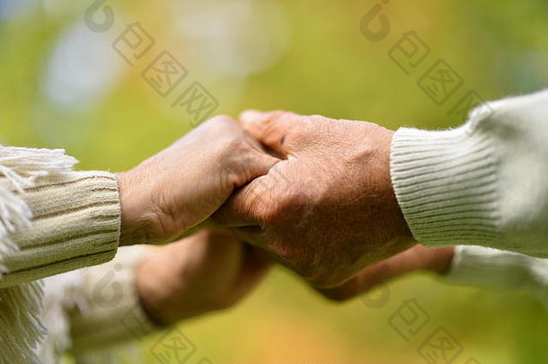 一对老夫妇手牵手在美丽的公园里