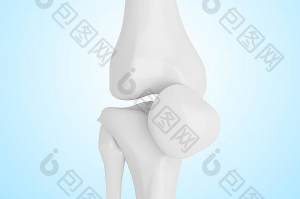3d渲染器插图。人类膝盖骨、骨骼系统