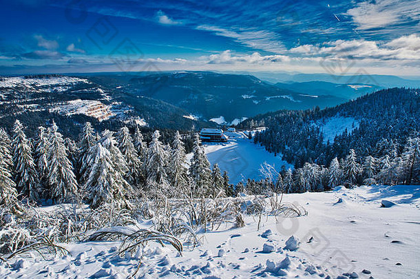 冬天景观雪山冻湖黑色的森林德国