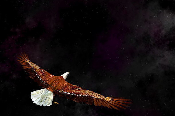 鹰与星云在宇宙中飞翔-3D渲染