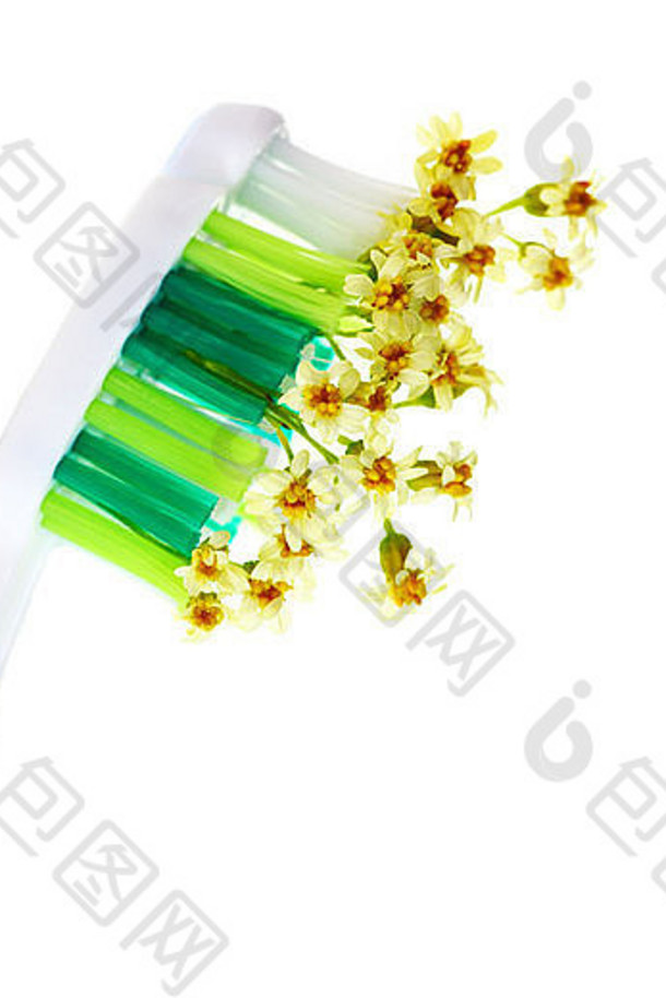 白色背景上隔离花朵的牙刷，牙齿护理和健康生活方式的概念形象
