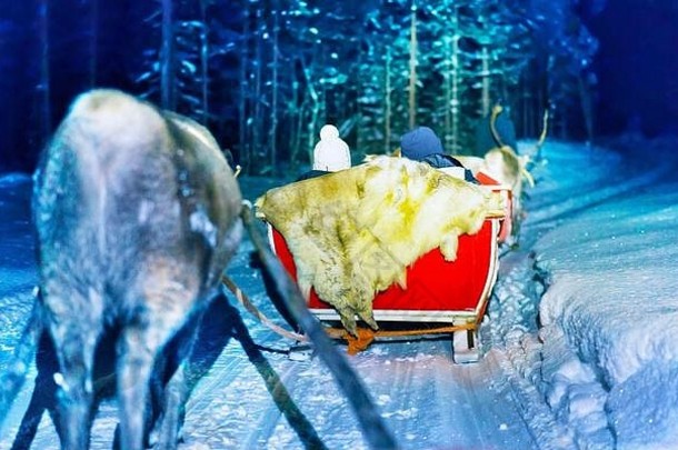 人们在芬兰拉普兰的夜间狩猎中驯鹿雪橇