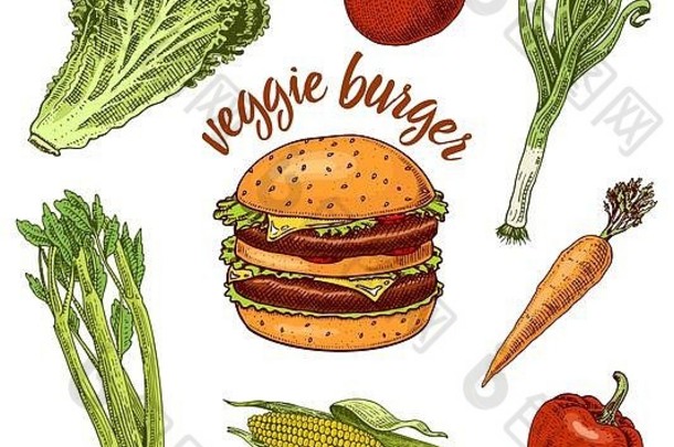 素食主义者蔬菜汉堡三明治成分沙拉番茄胡萝卜辣椒玉米芹菜插图有机商店手画草图