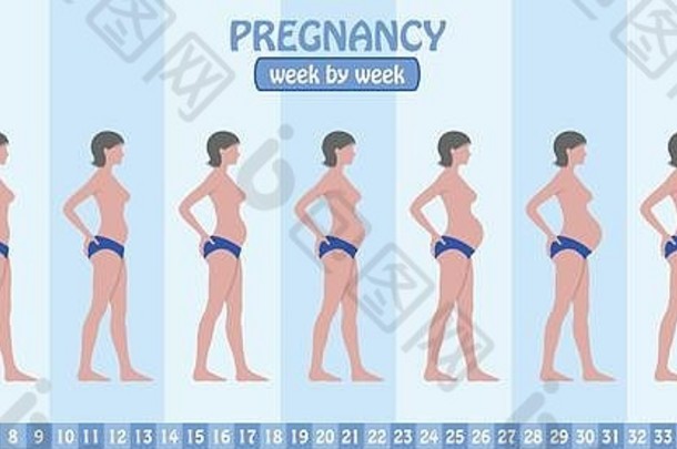 孕妇穿着裤子每周的怀孕阶段。所有对象和主体阶段都位于不同的层中，文本类型不需要任何层次