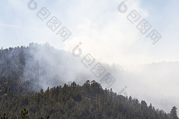 视图路出现森林火大控制燃烧桩森林很多烟
