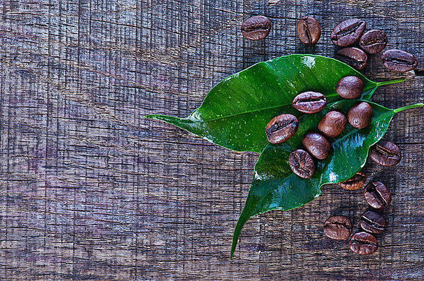 桌子上的咖啡豆和绿叶