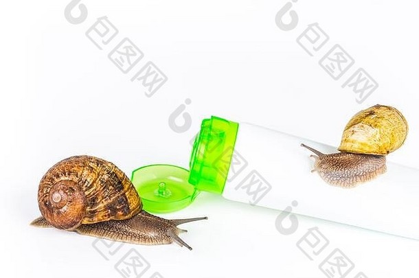 化妆品有机使口水蜗牛好皮肤健康时尚欧洲绿色白色奶油管蜗牛刺激