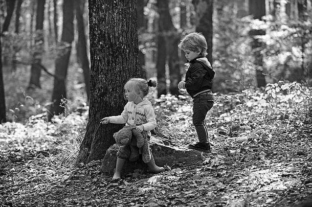 孩子们玩秋天森林男孩女孩朋友野营森林哥哥妹妹有趣的新鲜的空气童年孩子友谊