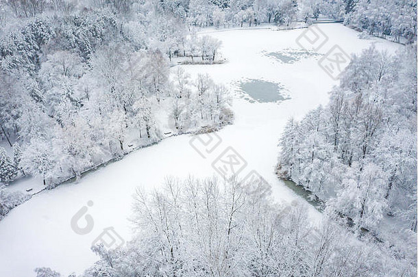 空中视图冬天美丽的景观<strong>树</strong>覆盖白霜雪冬天风景景观照片捕获无人机