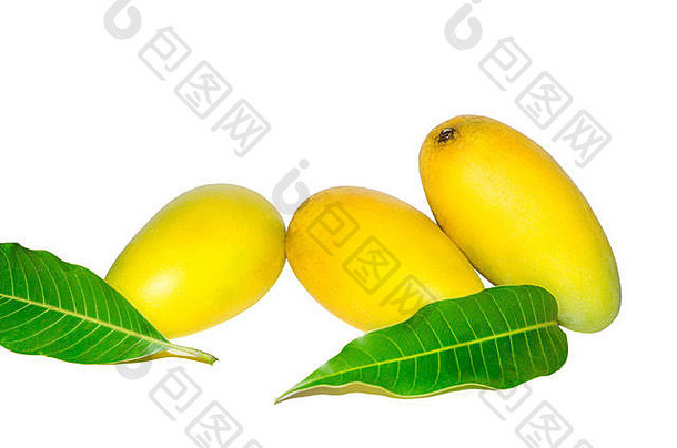 芒果组和芒果叶上的白色背景为隔离背景，泰国芒果上的白色背景为切断背景，亚洲芒果上的夏季