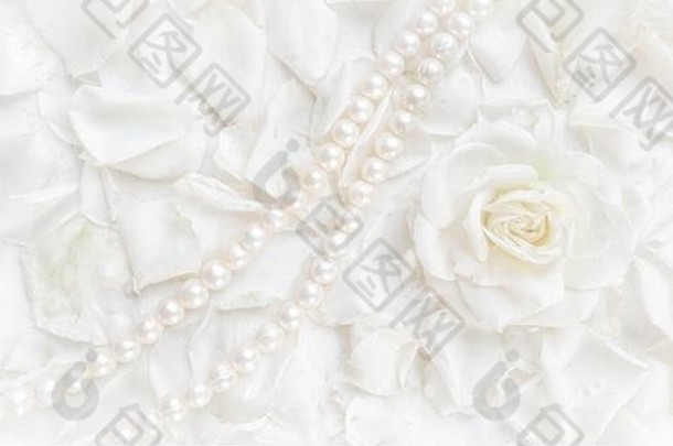 美丽的白色玫瑰和珍珠项链的花瓣背景。婚礼、生日、情人节、母亲节贺卡的理想选择