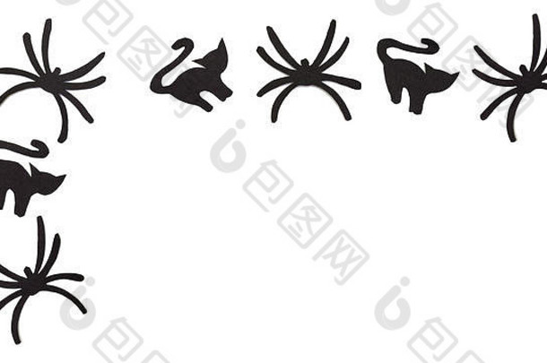 万圣节前夕，黑纸上雕刻的黑猫和蜘蛛的剪影被隔离在白色的地板上。万圣节概念