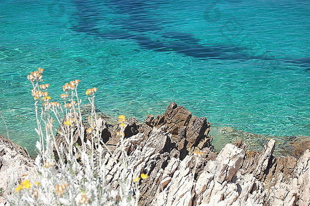 克罗地亚达尔马提亚岩石海滩的夏季景观