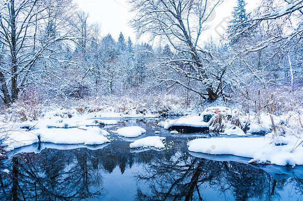 不列颠哥伦比亚省温哥华（三角洲）伯恩斯沼泽一场暴风雪后，小溪湖上的降雪和石头。多雪的森林景色。