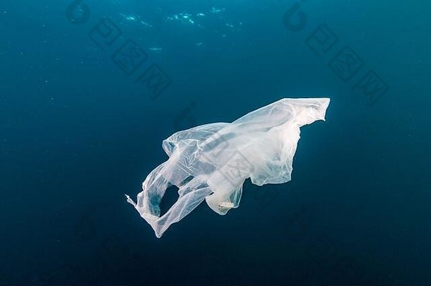 海洋中的塑料污染——热带海洋中漂流在水下的废弃塑料袋