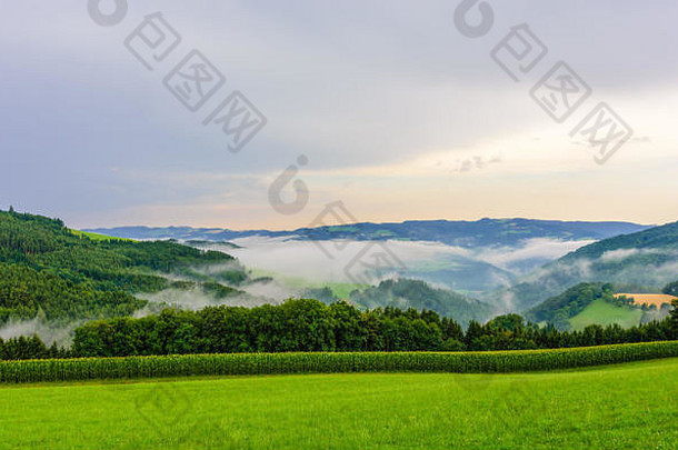 多雾的夏天下午农村丘陵景观绿色字段玉米森林雾谷<strong>天空</strong>云宽视图地平线