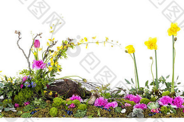 大型花卉餐桌展示澳大利亚花卉、苔藓、蕨类植物、坚果和水果