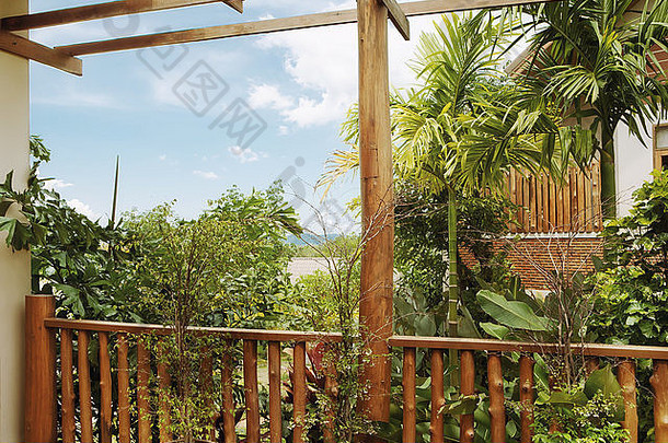 热带环境中美丽夏季露台的碎片状视图