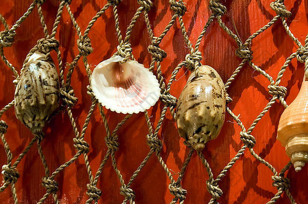 贝壳上的装饰和红色背景上的卷边网。在纪念品店拍的。景观定位。