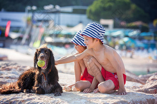甜蜜的孩子们男孩玩狗海滩夏季