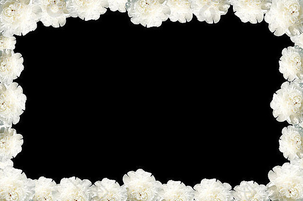 黑色背景装饰牡丹花架