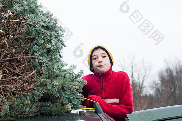 车顶上有一棵新砍的圣诞树的男孩