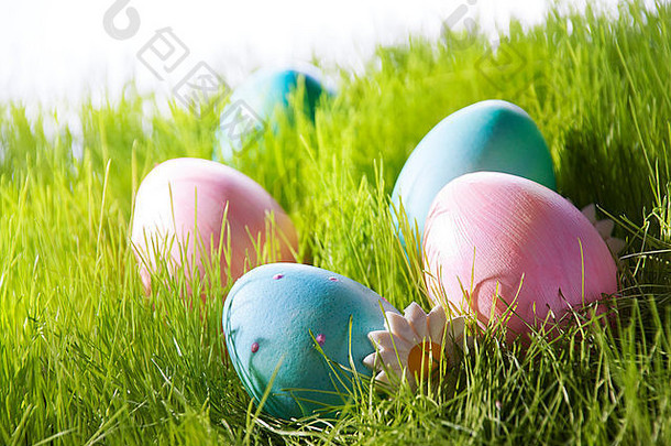 许多五颜六色的复活节彩蛋放在阳光明媚的绿色圣诞树上，作为复活节或节日的问候，粉红色和蓝色的彩蛋上有玛格丽特的花朵