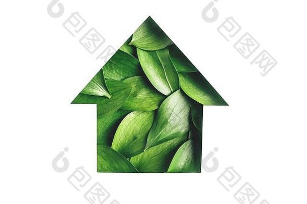新鲜的绿色叶子形状的房子孤立的白色背景