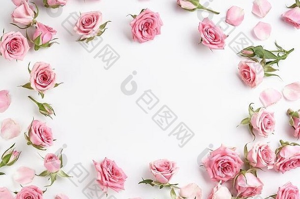 白色<strong>背景</strong>上的玫瑰花，带有用于设计、文字的空间。粉红玫瑰和玫瑰花蕾的俯视图。