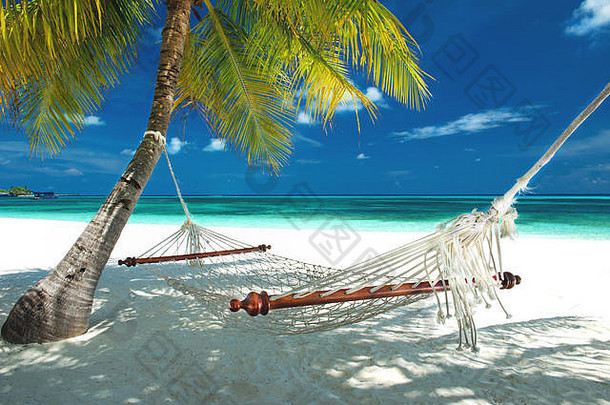 马尔代夫，海滩吊床悬挂在棕榈树上