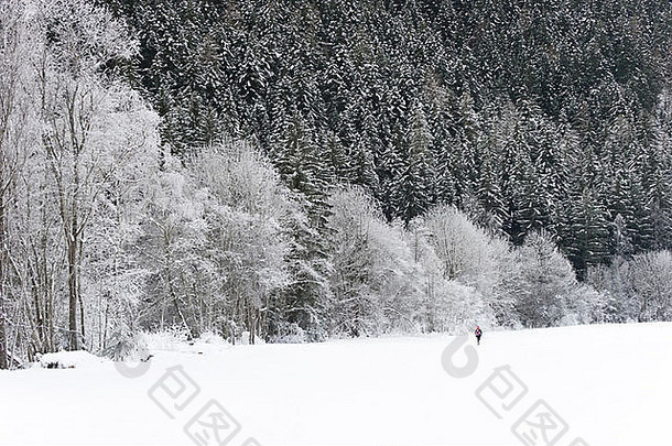 慢跑者穿过令人叹为观止的冬季雪景。