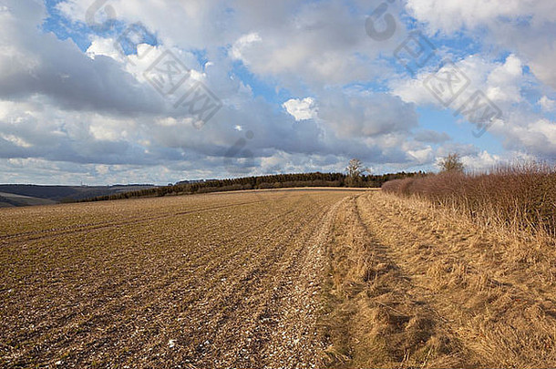 英国约克郡沃兹的耕地上云层覆盖的英国风景。