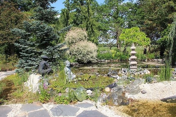 荷兰卢森阿达·霍夫曼的池塘花园