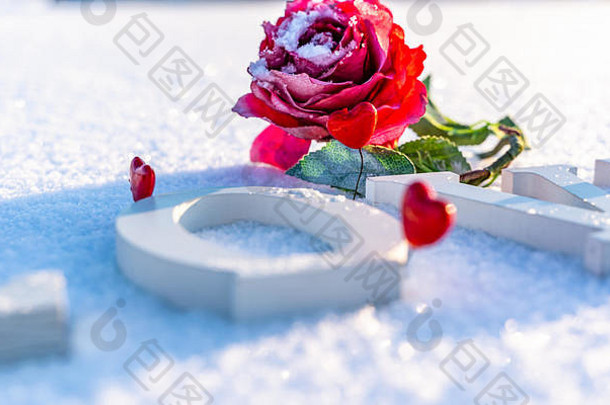 在阳光明媚的冬日，从雪地里的木头中分离出爱这个词的特写镜头，白色背景，红色心形装饰，周围是玫瑰——康塞特