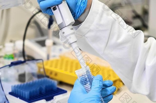 这位科学家在<strong>实验室</strong>工作。戴蓝手套的化学家把液体从一根管子转移到另一根管子。抗肿瘤疫苗的研究与开发