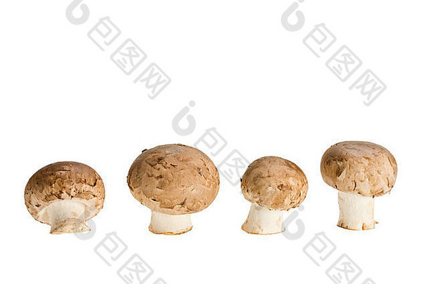 集团蘑菇孤立的白色背景