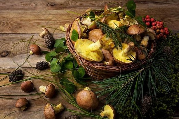 柳条篮子野生森林挑选湿滑的杰克蘑菇绿色叶子浆果乡村木背景关闭素食者健康的