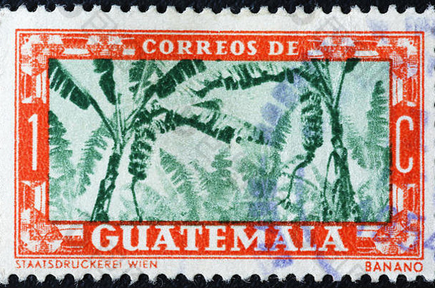危地马拉古董邮票上的香蕉植物