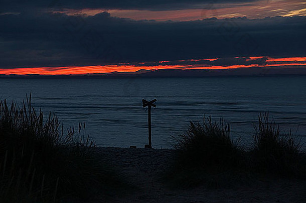 Findhorn海滩上的夜光