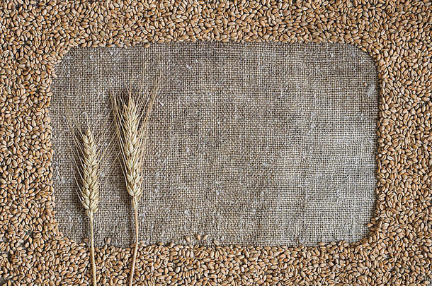 粗麻布上框架状的小麦颗粒。镜框里是小麦穗